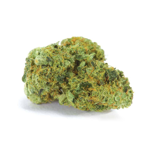 Just Seeds - NORTHERN LIGHT [AUTO] JustSeeds - 1